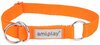 Kaelarihm Amiplay Samba, M, 250 - 400 mm x 20 mm, oranž