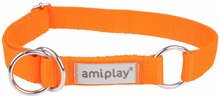 Kaelarihm Amiplay Samba, M, 250 - 400 mm x 20 mm, oranž
