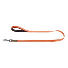 Jalutusrihm Hunter Convenience, 1,2 m, oranž