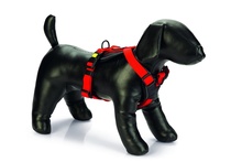 Traksid Beeztees, 38-48 cm, punased