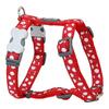 Traksid Red Dingo Style, punased, 30-48 cm