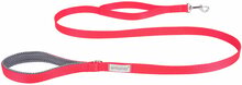 Jalutusrihm Amiplay Samba, L, 1.5 m x 2.5 cm, punane