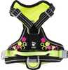 Rakmed Hurtta Weekend Warrior, 60-80 cm, licorice
