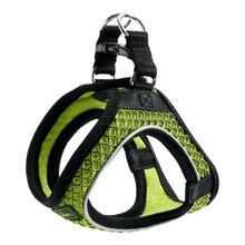 Traksid Hunter Hilo Comfort, XS-S, laimiroheline, 37-42 cm