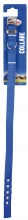 Kaelarihm Record, 50-55 cm x 25 mm, sinine