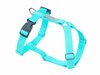 Traksid Amiplay Samba, XL, 650 - 950 mm x 25 mm, türkiis 5907563279223