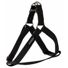 Traksid Amiplay, 50-95 cm, must