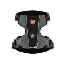 Traksid Ezydog X-Link, S, must