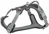 Rakmed Trixie Active Premium, S, must