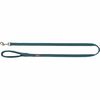 Kaelarihm Trixie Premium XS-S, 22-35 cm, 10 mm, petrol roheline