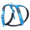Traksid Amiplay Reflective, 500 - 620 mm x 50 mm, sinine