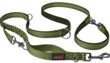 Jalutusrihm Company of Animals Halti Anatomy Multi Line, Large, roheline