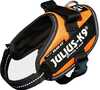 Rakmed Julius K9 IDC, Mini-Mini, 40-53 cm, UV oranž