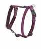 Traksid Rogz Alpinist, M, 32-52 cm, lilla