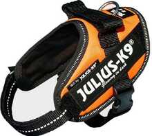 Rakmed Julius K9 IDC, Mini-Mini, 40-53 cm, UV oranž