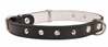 Kaelarihm Dino, 18 mm x 430 mm, must