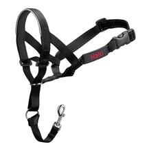 Suukorv Company of Animals Halti, 40-54 cm, must