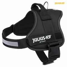 Traksid Julius K9 Power XL, 820 - 1160 mm x 50 mm, pruun/must/roheline