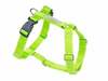 Traksid Amiplay Guard Samba, M, 350-550 mm, roheline