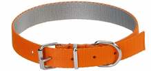 Kaelarihm Dingo Energy Silver, 550 mm x 25 mm, oranž