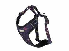 Traksid Amiplay Discovery BeSpace, M, 350-500 mm, violetne