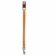Jalutusrihm Zolux Leather Lined, 1 m, helepruun