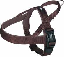 Traksid Nobby Classic Preno, L, 600 - 760 mm x 35 mm, pruun