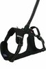 Traksid Zolux Clip&Go, M, 550 - 670 mm, must