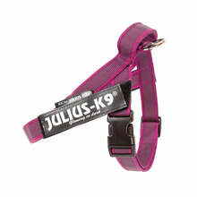 Traksid Julius K9 IDC Color&Gray, S, roosa, fuksia