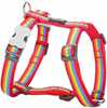 Rakmed Dingo Style Rainbow, 36-54 cm, punane
