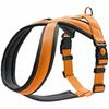 Traksid Hunter London Comfort, S/M, 52-62 cm, oranž