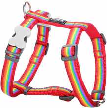 Rakmed Dingo Style Rainbow, 36-54 cm, punane