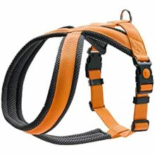 Traksid Hunter London Comfort, S/M, 52-62 cm, oranž