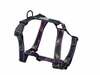 Traksid Amiplay Guard BeSpace, S, 260 - 350 mm x 15 mm, lilla