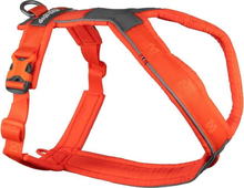 Jalutusrihm Non-Stop Dogwear Line 5.0, oranž, suurus 4