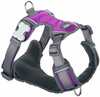 Traksid Dingo, S, 30-47 cm, lilla