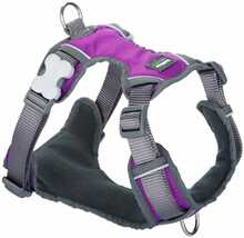 Traksid Dingo, S, 30-47 cm, lilla