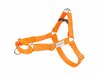 Traksid Amiplay Samba, M, 400 - 600 mm x 20 mm, oranž
