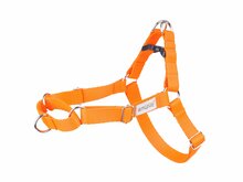 Traksid Amiplay Samba, M, 400 - 600 mm x 20 mm, oranž