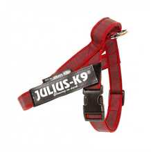 Traksid Julius K9 IDC Color & Gray, Mini-Mini