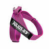 Traksid Julius K9 IDC Color&Gray, L, roosa, fuksia