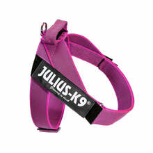 Traksid Julius K9 IDC Color&Gray, L, roosa, fuksia