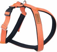 Traksid Amiplay Cotton Grand Soft, XL, 590 - 750 mm, oranž