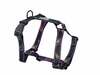 Traksid Amiplay Guard BeSpace, M, 350 - 550 mm x 20 mm, lillad