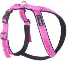 Traksid Amiplay Reflective, 340 - 430 mm, roosa