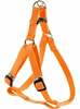 Traksid Zolux Step-in, 490 - 790 mm x 20 mm, oranž