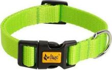 Kaelarihm Dingo Energy, 31-49 cm, roheline
