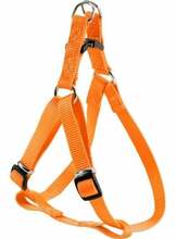 Traksid Zolux Step-in, 490 - 790 mm x 20 mm, oranž