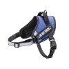 Traksid Nobleza Do not touch, S, 46-62 cm