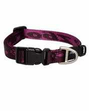 Kaelarihm Rogz Alpinist, S, 20-31 cm, lilla